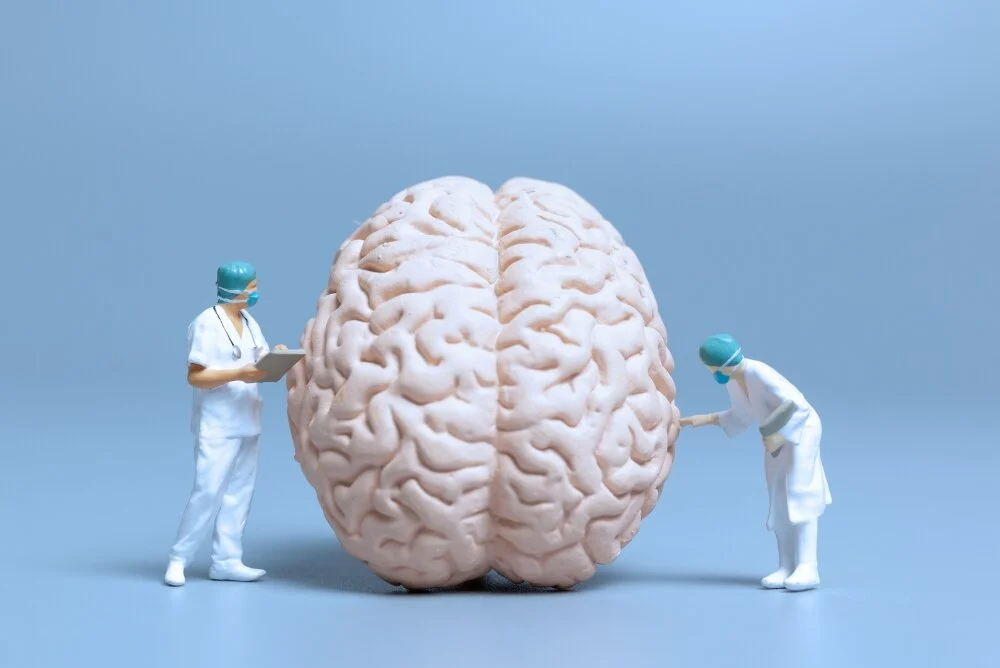Brain Stroke Recovery and Long-Term Outcomes